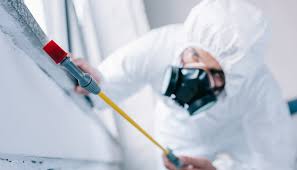 Emergency Pest Control in Malabar, FL